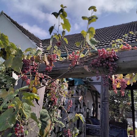Gemuetlichkeit Am Vierkanthof - Apartment 2 Worterberg Zewnętrze zdjęcie