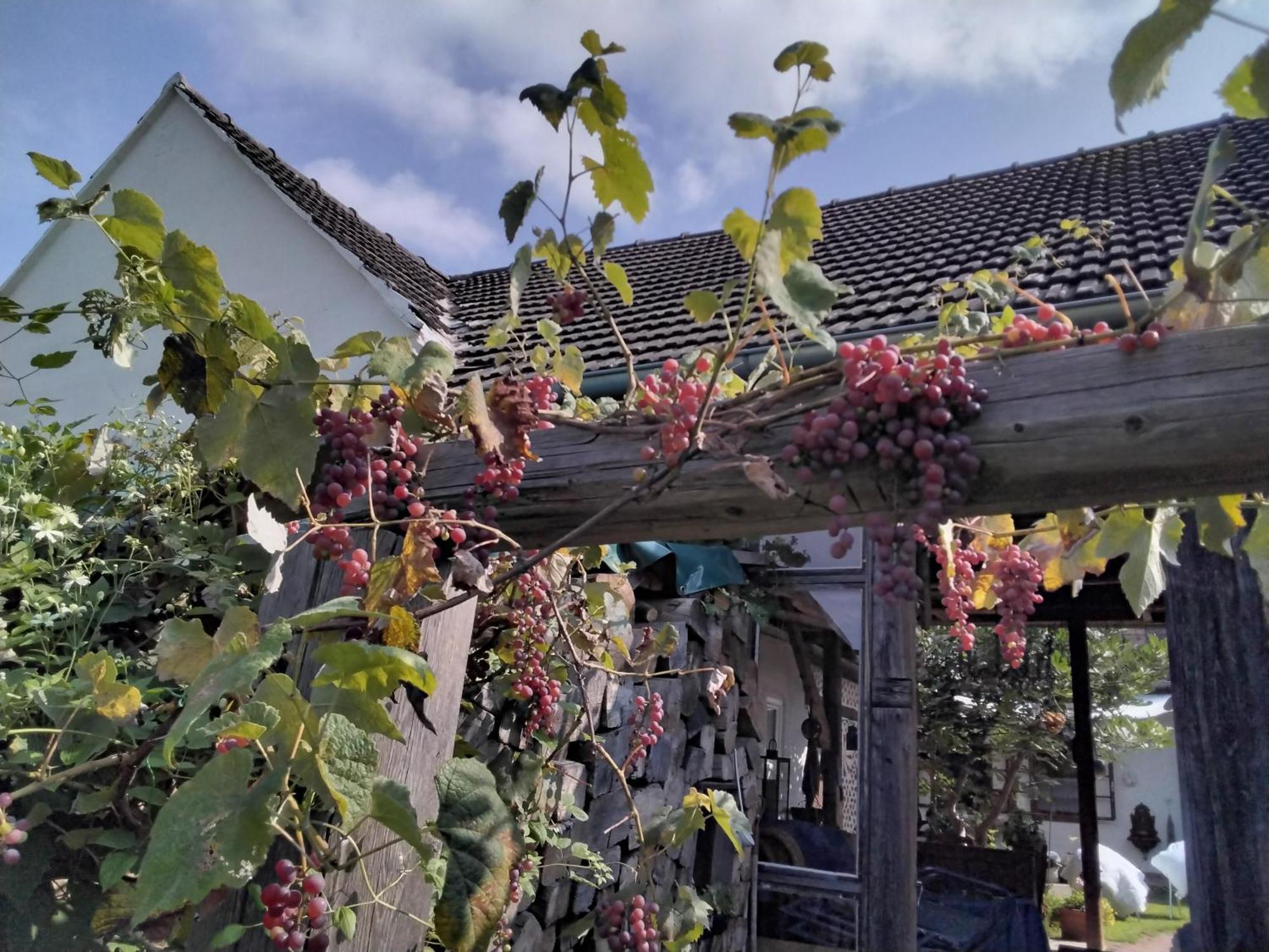 Gemuetlichkeit Am Vierkanthof - Apartment 2 Worterberg Zewnętrze zdjęcie
